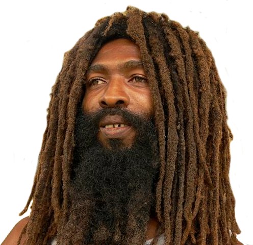 Rastas Dreadlocks Natty Dread